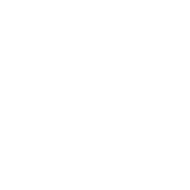 WinHance Logo